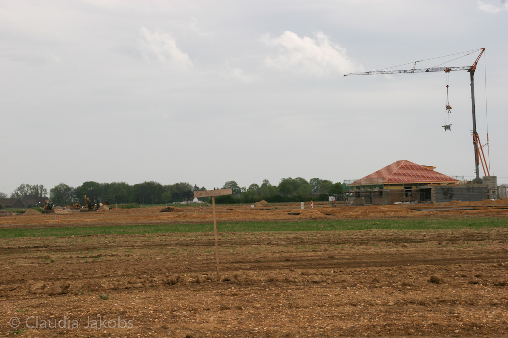 120429134842 IMG 2069