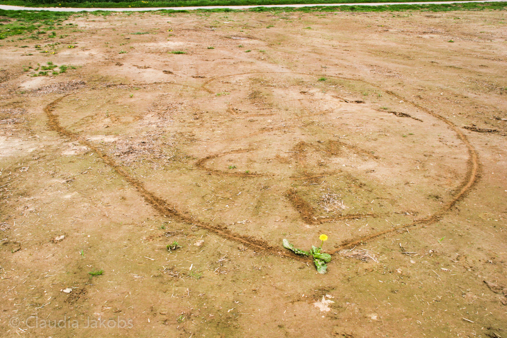 120429143947 IMG 2098