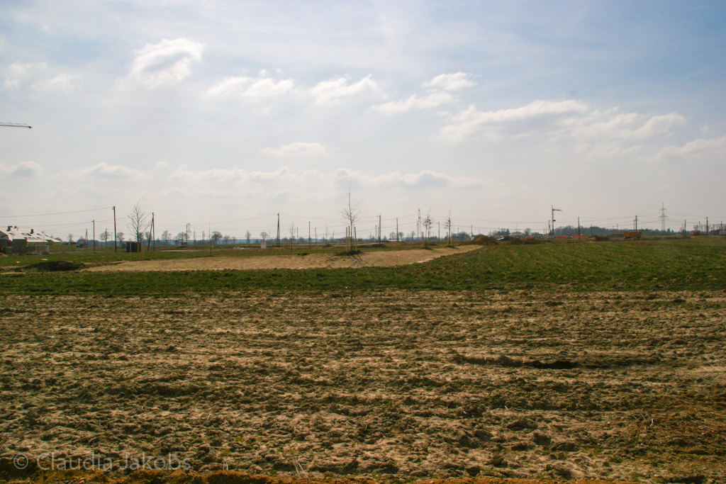 130401131450 IMG 5452