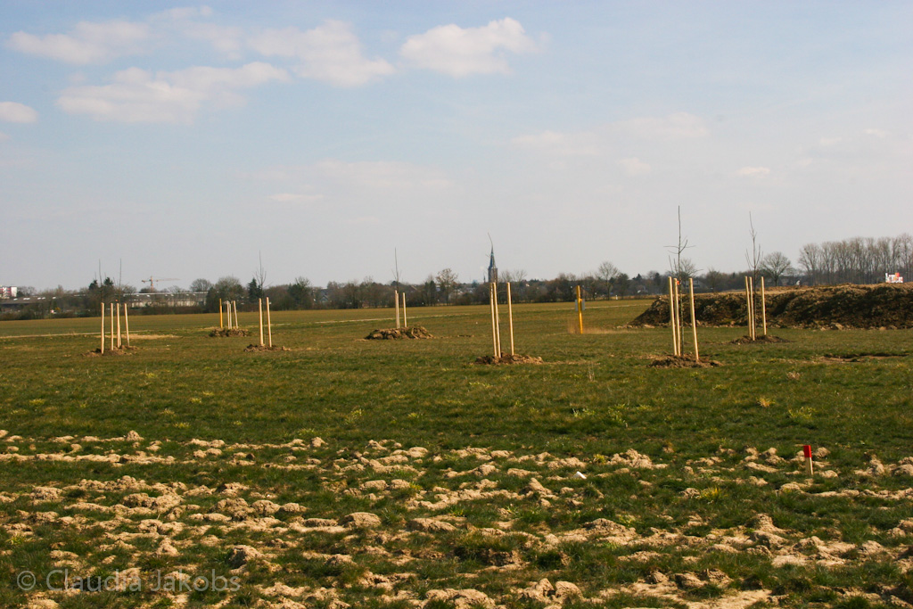 130401131547 IMG 5454