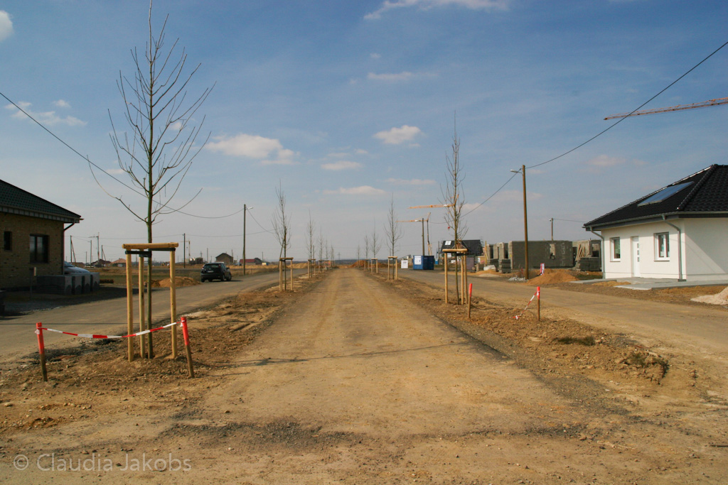 130401132022 IMG 5460