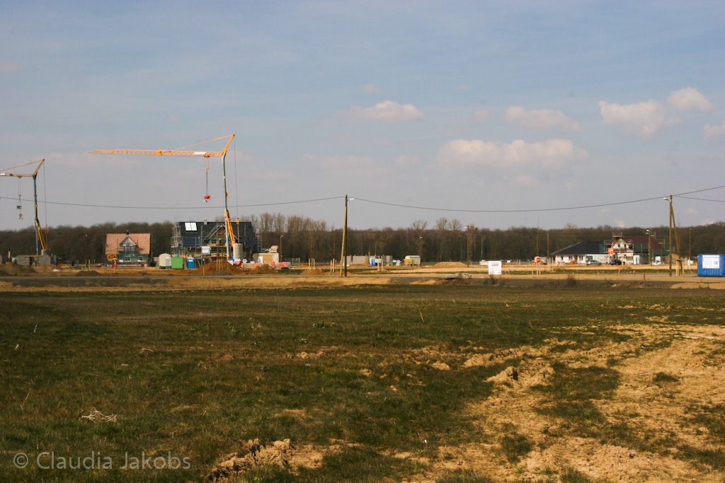 130401132215 IMG 5462