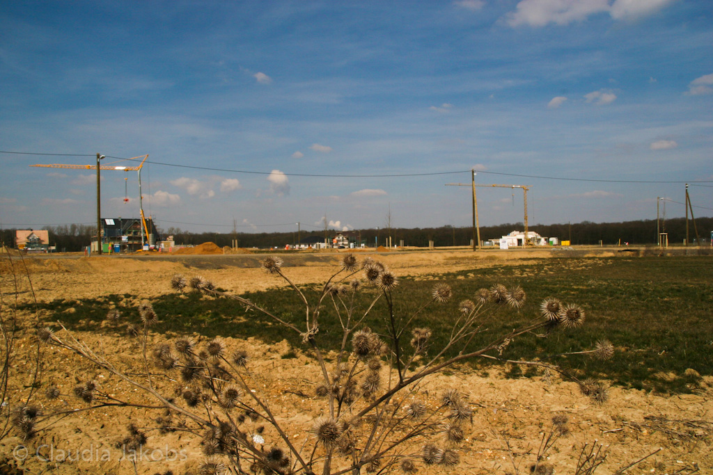 130401132414 IMG 5463