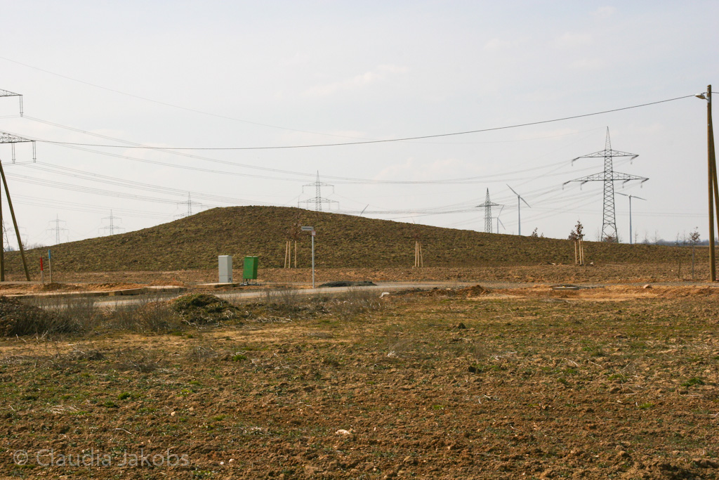 130401133803 IMG 5473