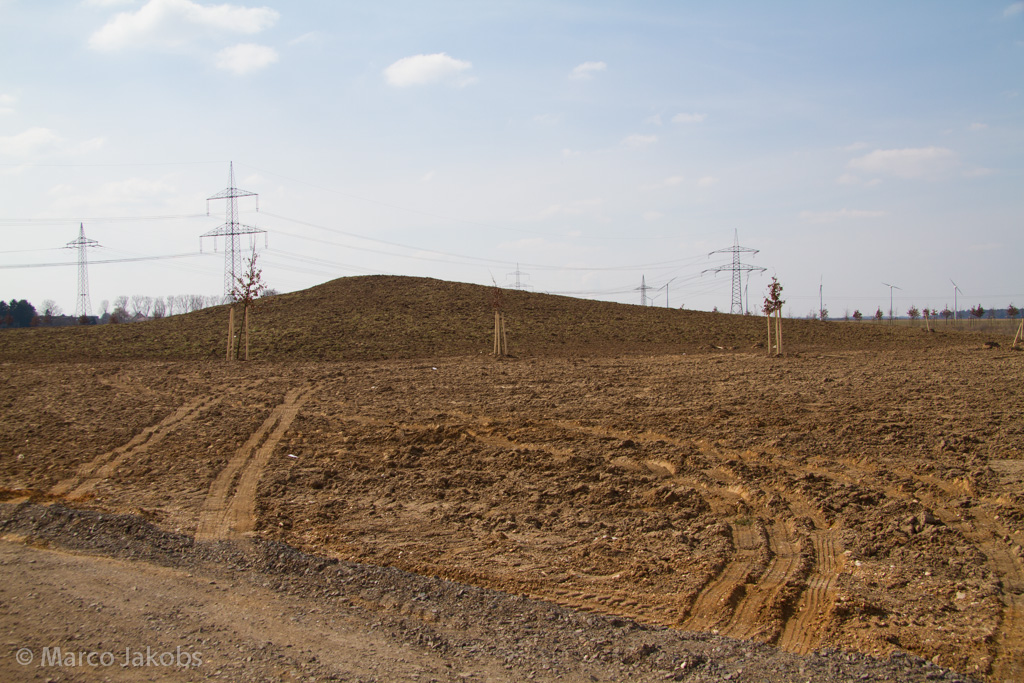 130401133856 MJ  0557