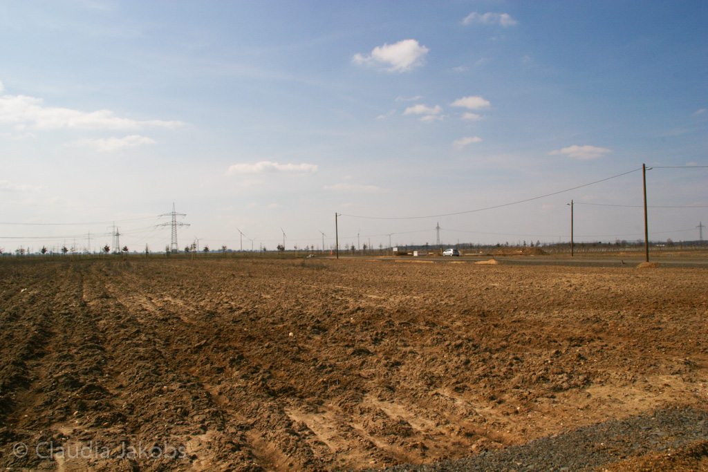 130401134602 IMG 5478