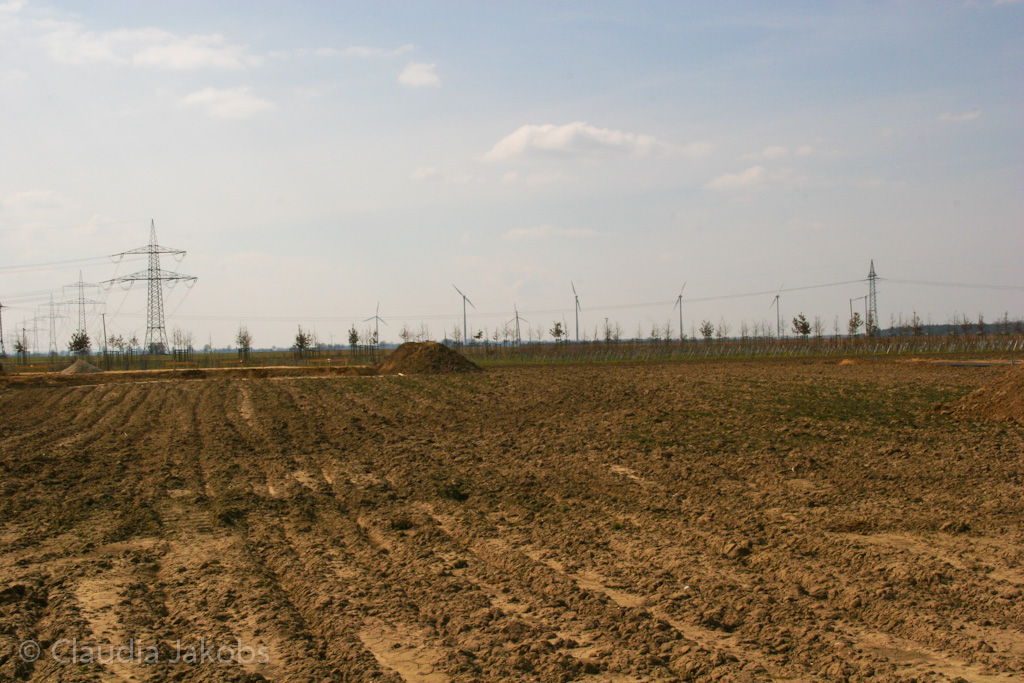 130401134739 IMG 5482