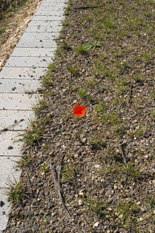 140824121530 IMG 8071