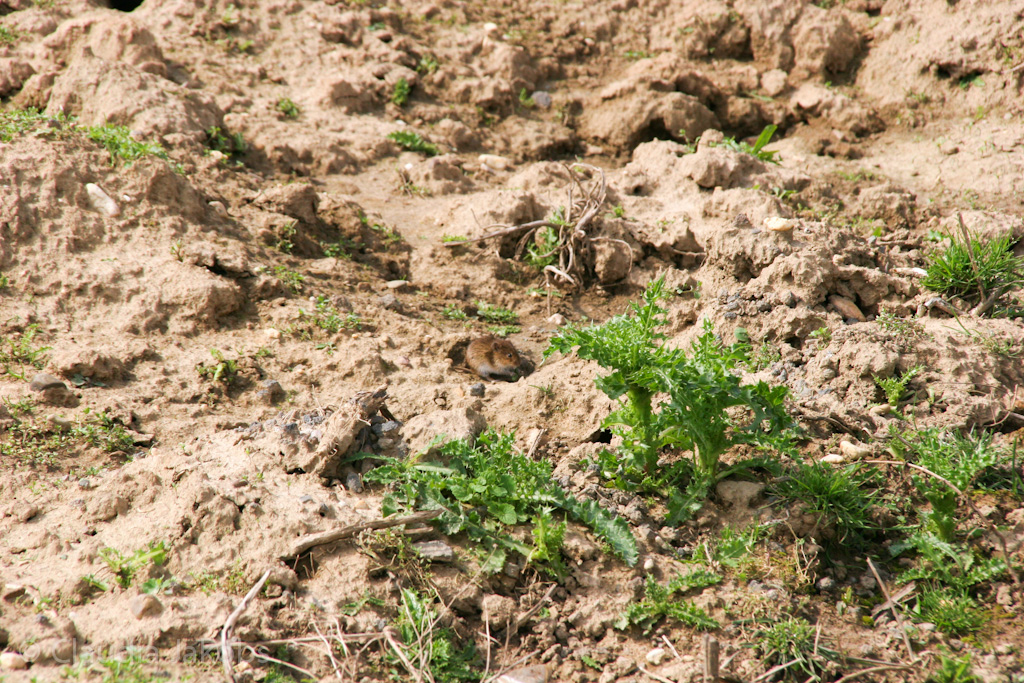 140824123343 IMG 8074