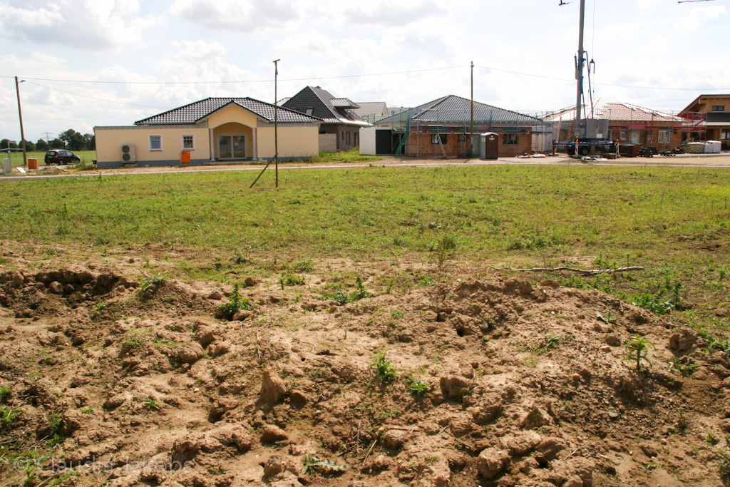 140824123610 IMG 8077