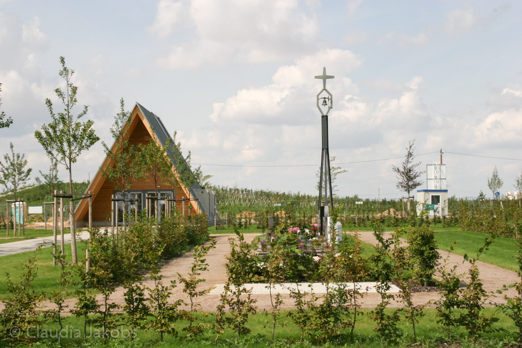 140824124913 IMG 8091