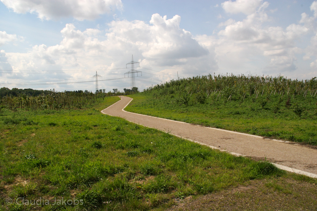 140824125402 IMG 8096