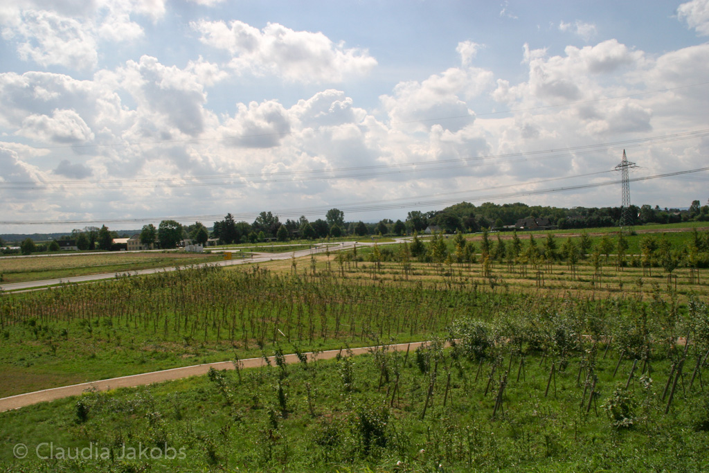 140824125754 IMG 8105