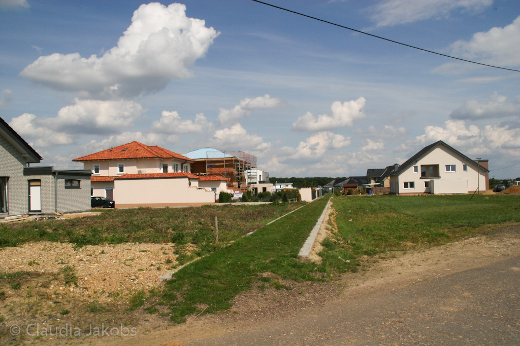 140824133826 IMG 8145