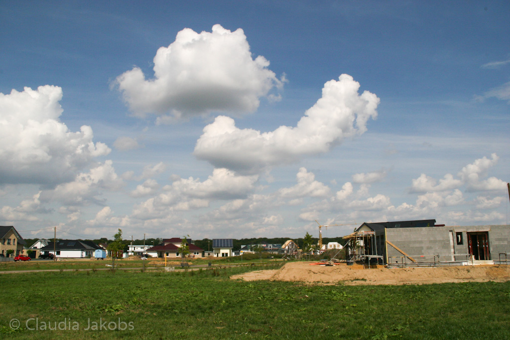 140824134130 IMG 8152