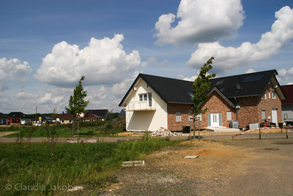 140824134303 IMG 8156