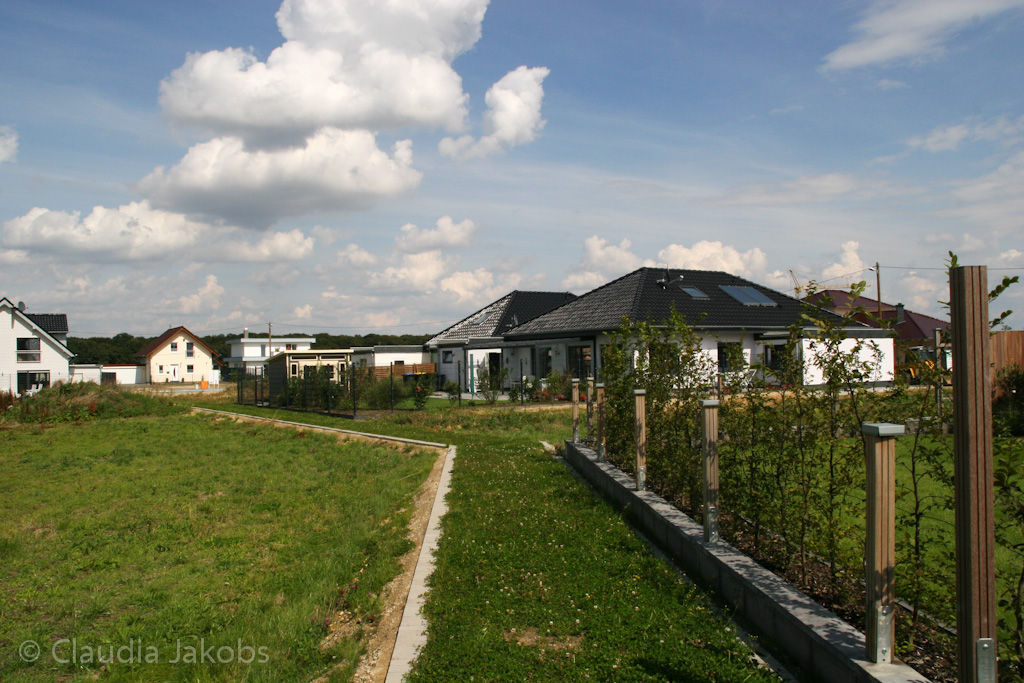 140824134651 IMG 8162