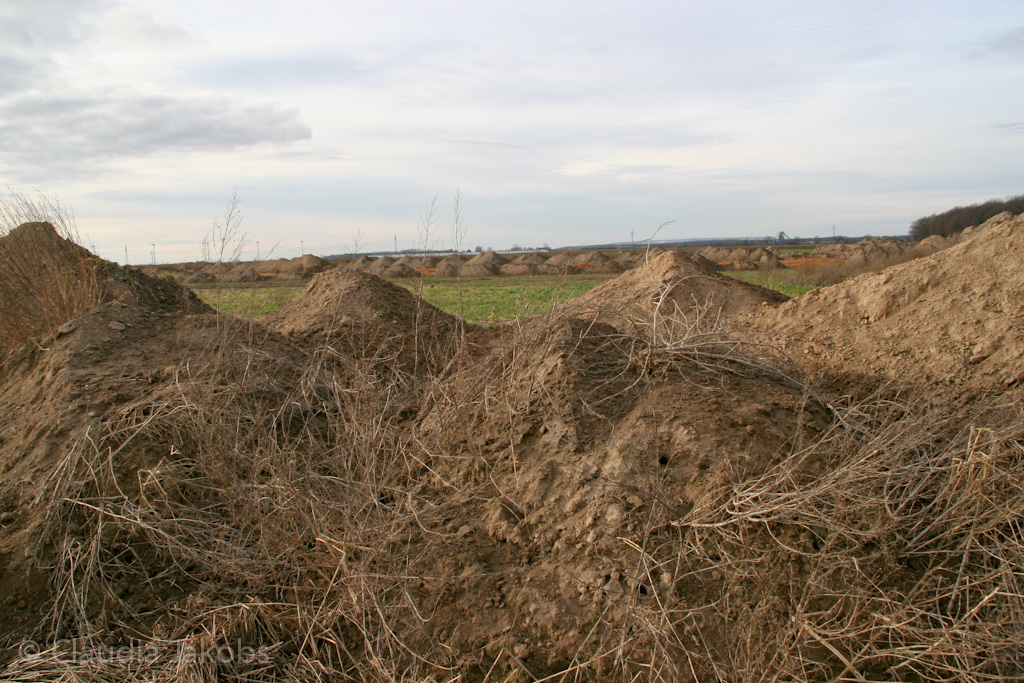 111211141859 IMG 0932