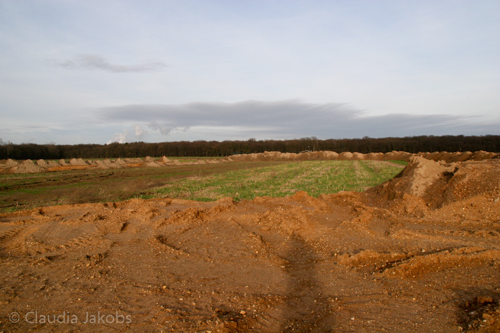 111211142219 IMG 0937