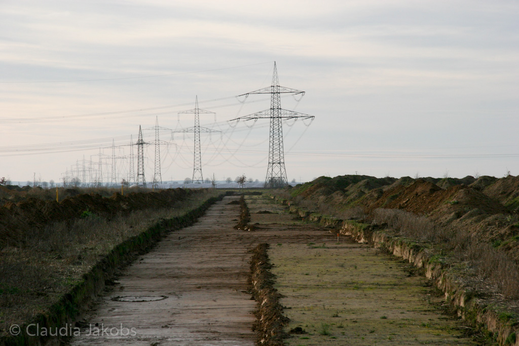 111211142638 IMG 0949