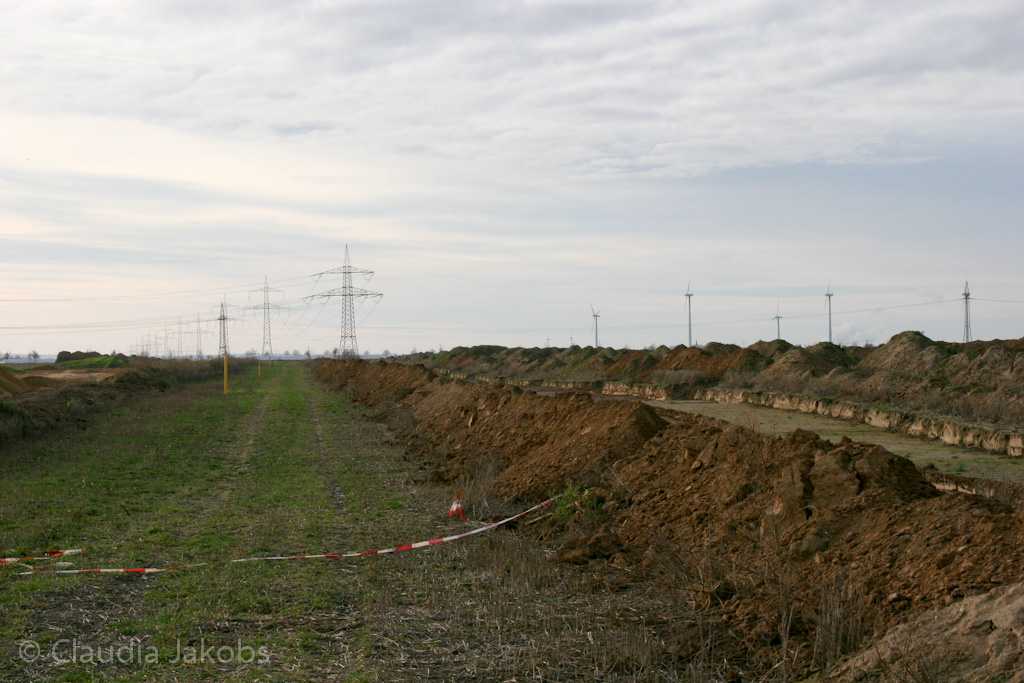 111211142754 IMG 0951