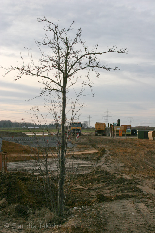 111211145039 IMG 0973