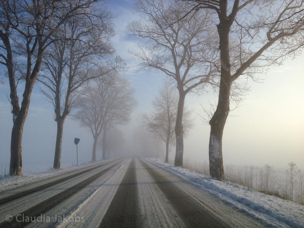 121208094935 Winter14