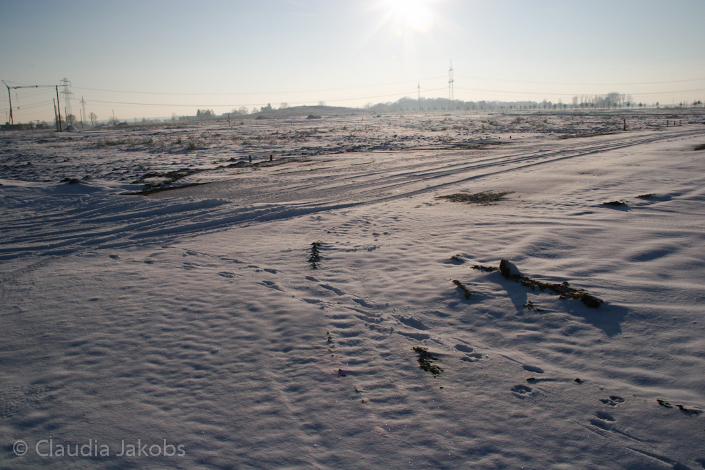 121208154302 IMG 4208