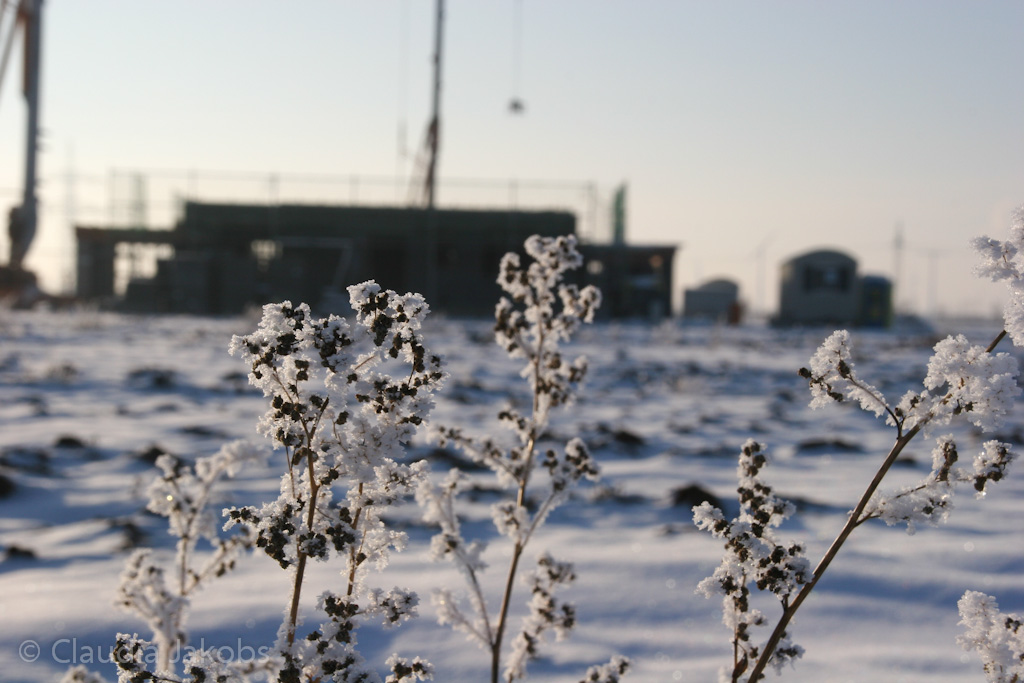 121208154444 IMG 4218