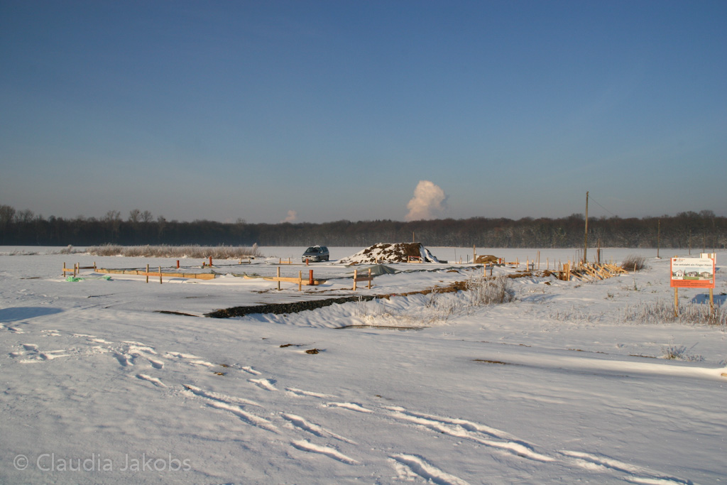 121208154851 IMG 4230