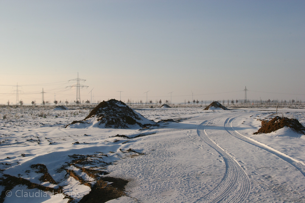 121208155330 IMG 4239