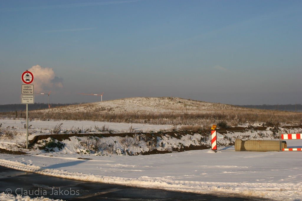 121208155508 IMG 4242