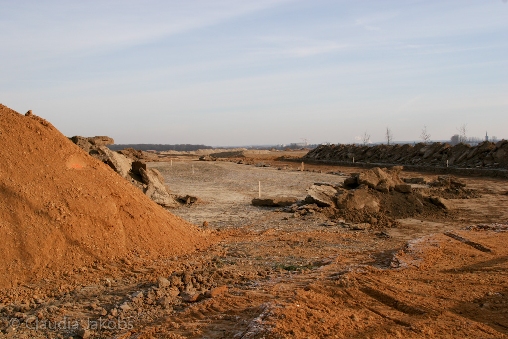 120205112354 IMG 1444