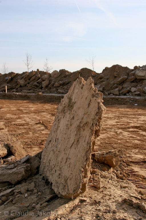 120205112507 IMG 1447