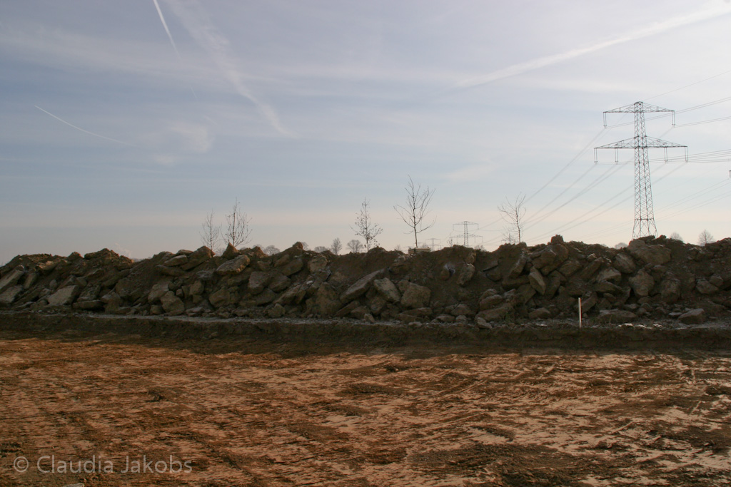 120205112600 IMG 1451