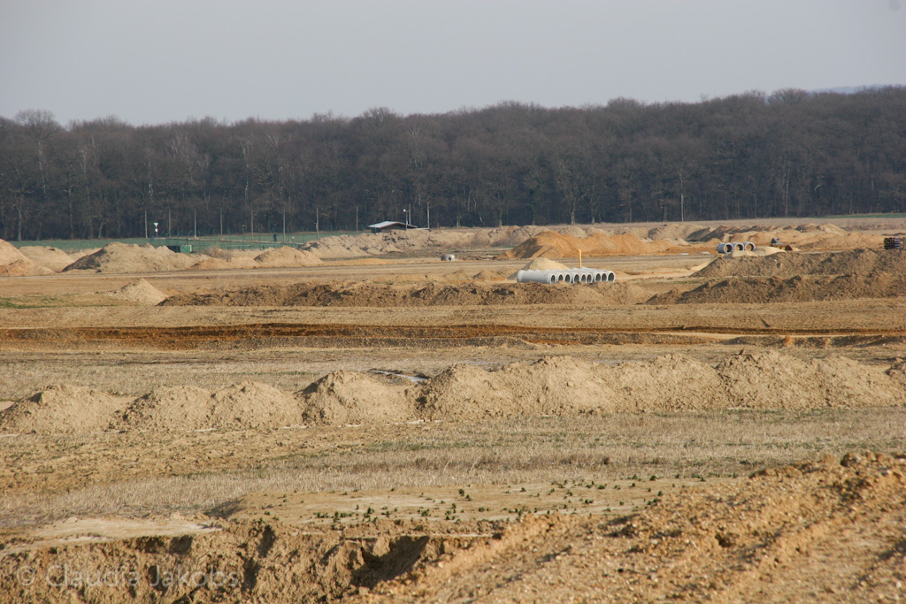 120205112916 IMG 1462