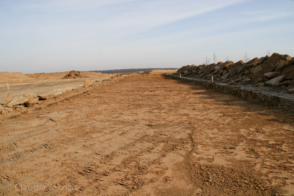 120205113255 IMG 1466