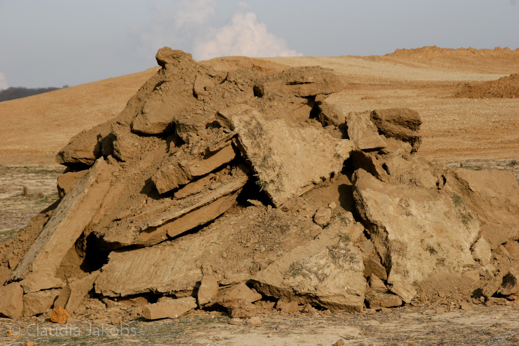 120205113339 IMG 1468