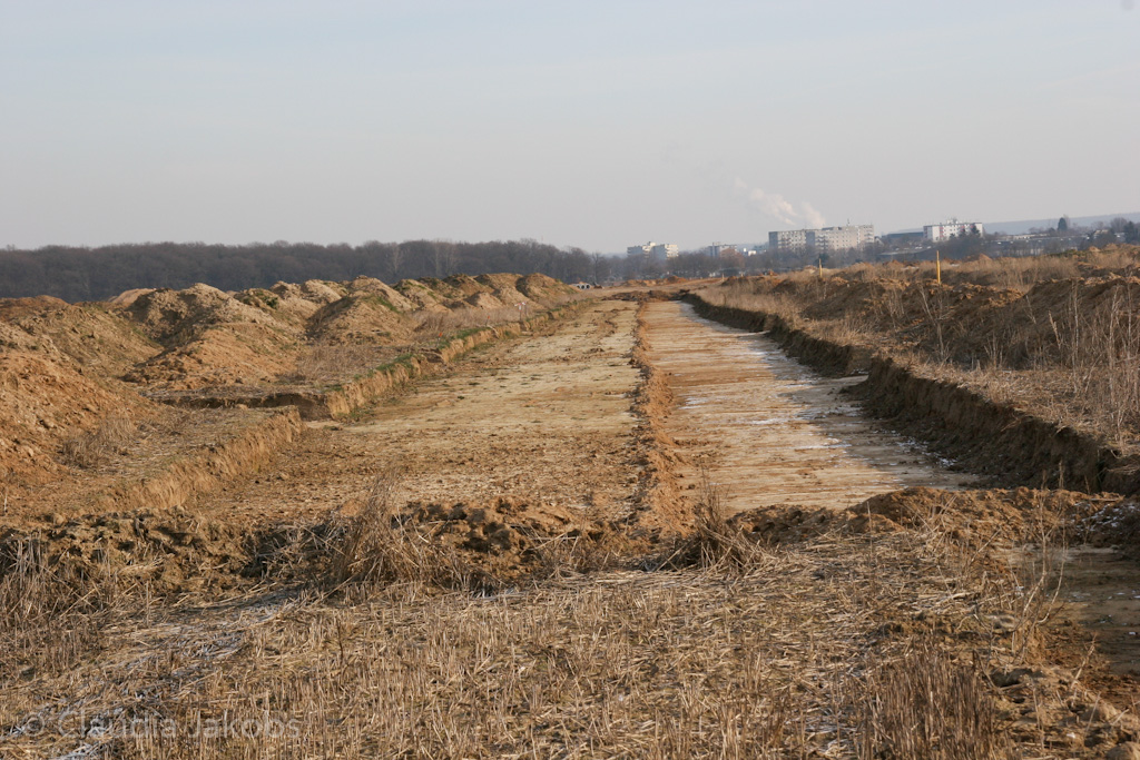 120205113806 IMG 1469