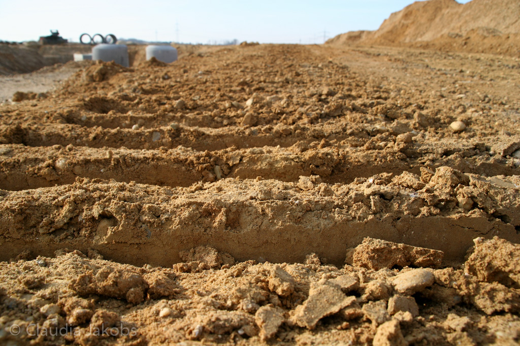 120205114846 IMG 1481