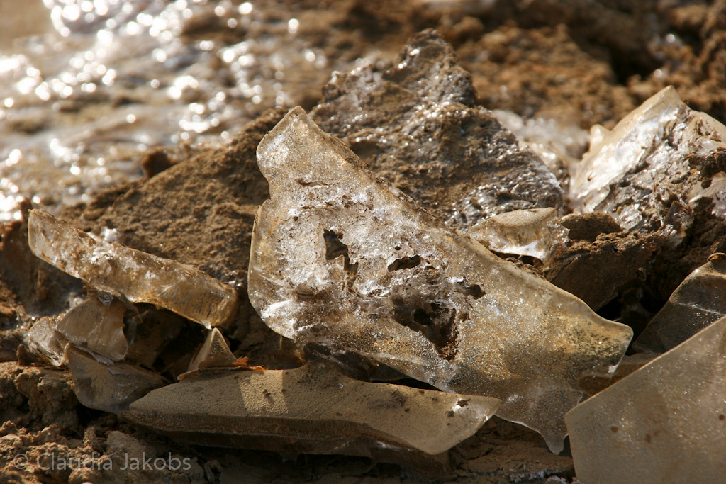 120205115224 IMG 1491