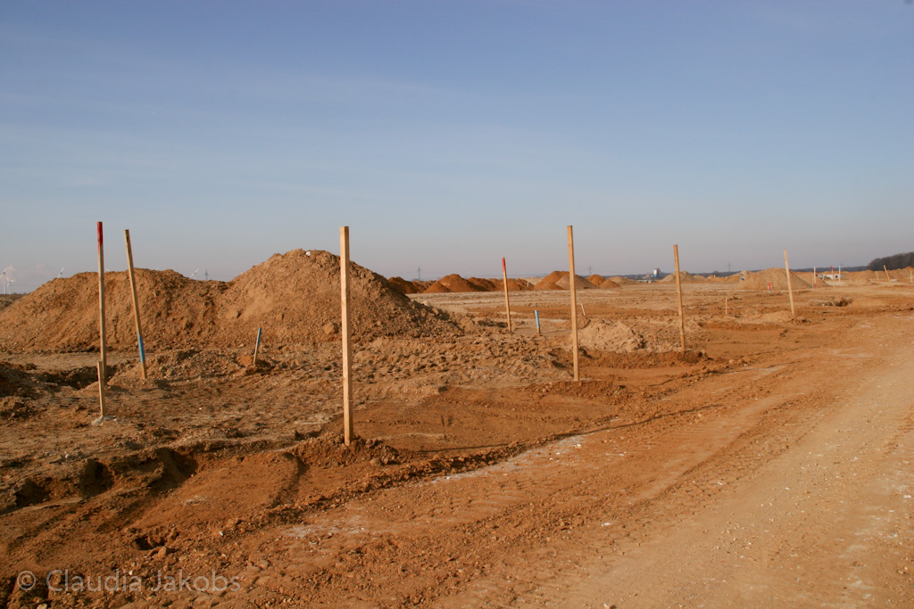 120205120006 IMG 1516