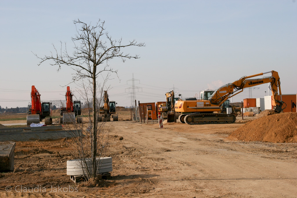 120205120734 IMG 1541