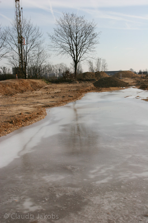 120205121529 IMG 1562