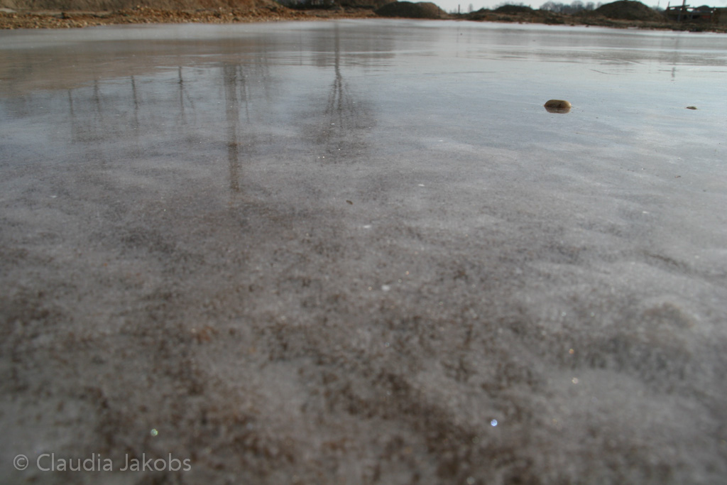 120205121551 IMG 1564