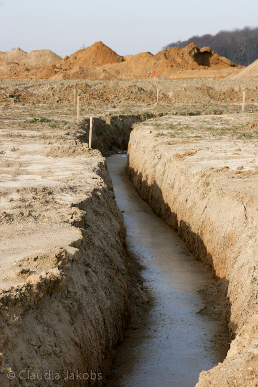 120205121654 IMG 1568