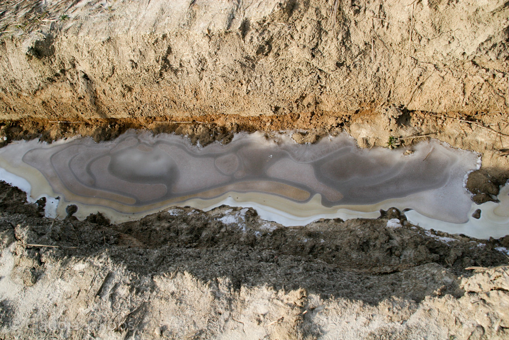 120205121755 IMG 1569