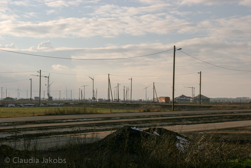 130209173351 IMG 4356