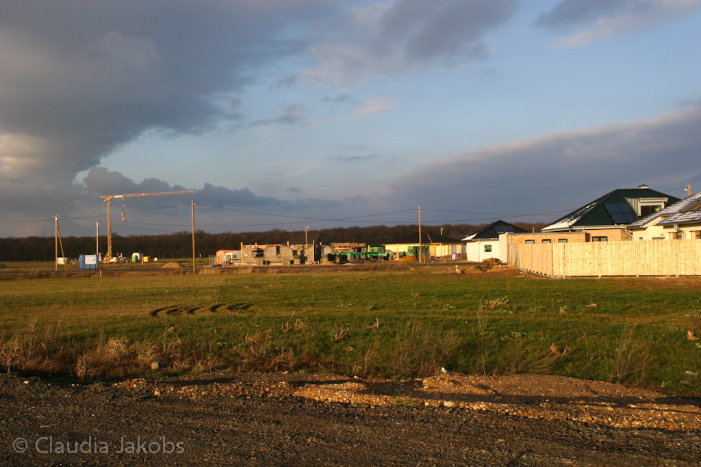 130209173739 IMG 4360