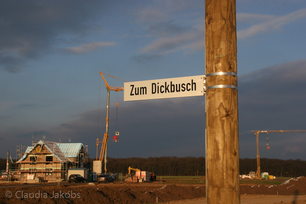 130209174158 IMG 4362